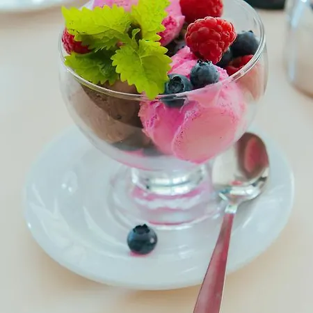 Szálloda Pod Sosnami