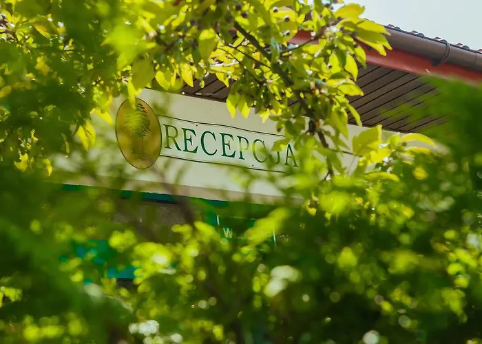 Hotel Pod Sosnami 2*